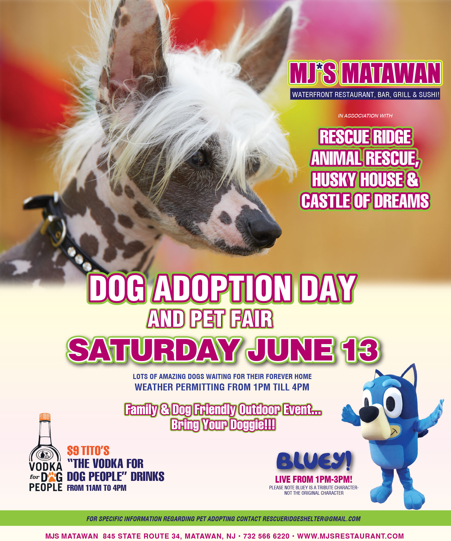  Dog Adoption Day & Pet Fair at MJ’s Matawan 6/13